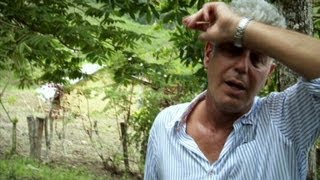 Peru Anthony Bourdain sees source of rare white cacao beans Parts Unknown [upl. by Ramonda916]