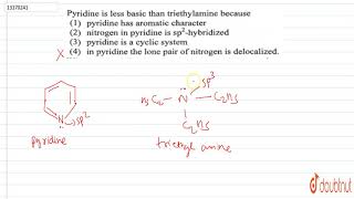 Pyridine is less basic than triethylamine because [upl. by Idnod]