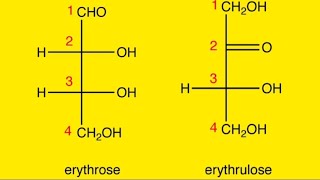 Tetrose  Erythrose  Erythrulose Monosaccharides [upl. by Amathiste911]