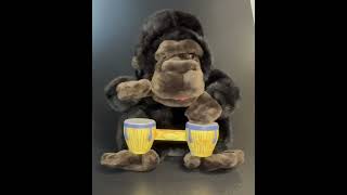 2001 Gemmy Bongo Gorilla Animated Plush Sings “Bang The Drums All Day” [upl. by Lurette]