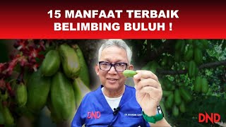 15 MANFAAT TERBAIK BELIMBING BULUH [upl. by Neeka]