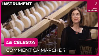 Le célesta comment ça marche  Par Catherine Cournot  Culture Prime [upl. by Eveneg354]