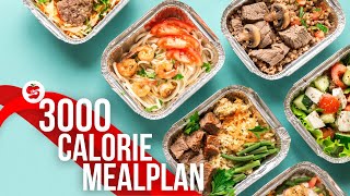 3000 Calorie Meal Plan by Diets Meal Plan [upl. by Iman]