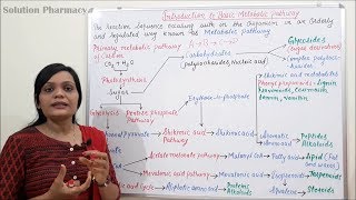 Class 01  Metabolic Pathway  Introduction to Basic Metabolic Pathway [upl. by Sande]