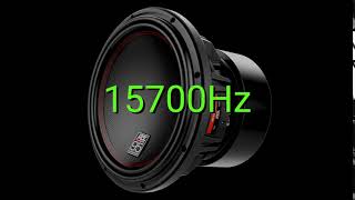 Tone frequency 15700Hz Test your hearing speakersheadphonessubwoofer [upl. by Silver]