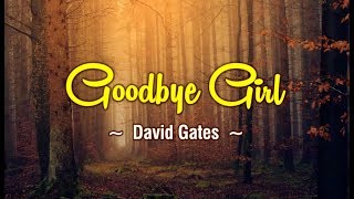 Goodbye Girl  KARAOKE VERSION  as popularized by David Gates [upl. by Gnus]