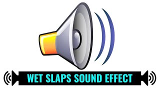 WET SLAPS  Sound Effect [upl. by Trstram125]