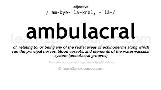 Pronunciation of Ambulacral  Definition of Ambulacral [upl. by Gamber692]