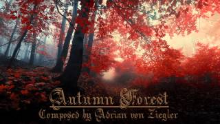 Relaxing Celtic Music  Autumn Forest [upl. by Enelrak863]