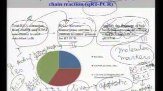 Mod01 Lec10 Lecture10Introduction to Biomaterials [upl. by Enilatan]