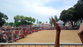 Looc Central School Dance Performance Fiesta in Lungsod Plaridel 2024 🎉🎆 [upl. by Showker322]