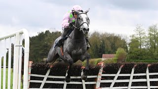 LOSSIEMOUTH completes CheltenhamPunchestown double [upl. by Aztiray]