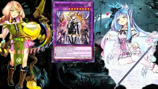 YGOPRO best witchcrafter deck [upl. by Nygem]