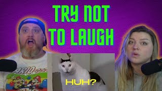 UNUSUAL MEMES COMPILATION V261 HatGuy amp gnarlynikki Try Not To Laugh [upl. by Cannell]