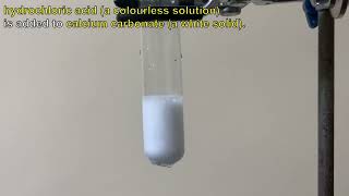 Hydrochloric acid is added to Calcium carbonate [upl. by Hurlbut]