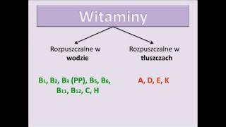 Witaminy [upl. by Grindle488]