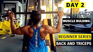 Back amp Triceps workout  Beginner Series  Day 2  Muscles Building [upl. by Gnilyam]