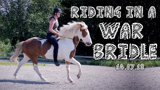 Riding in a war bridle  140718 [upl. by Boyd]