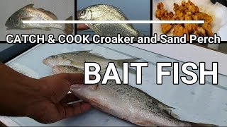 Catch and Cook Croaker [upl. by Nosneb597]