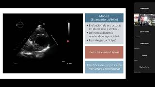 Ecografía para Médicos Internistas Generalidades y Protocolos FEEL FAST BLUE FATE RUSH [upl. by Siuraj]