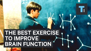 Neuroscientist explains the best exercise to improve brain function [upl. by Waddington290]