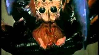 Spiders Пауки Aracnofobia II Gary Jones EEUU 2000  Extended Trailer [upl. by Llednov]