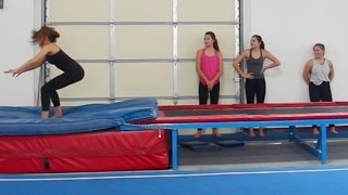 STICK IT GYMNASTICS CHALLENGE FT SHAWN JOHNSON [upl. by Ardried]