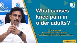 What causes knee pain in older adults [upl. by Amolap817]