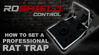 How to set a Roshield Professional Rat Trap [upl. by Waldack242]