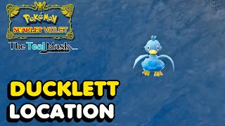 Pokemon Scarlet amp Violet  Ducklett Location The Teal Mask DLC [upl. by Kenay]