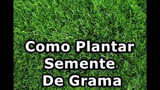 COMO PLANTAR SEMENTE DE GRAMA PARA JARDIM PAISAGISMO VASOS [upl. by Inneg]