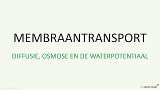 Diffusie osmose en de waterpotentiaal [upl. by Acimaj]