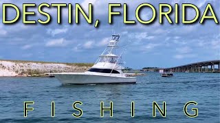 ULTIMATE Guide to Destin Florida Fishing [upl. by Leirda]