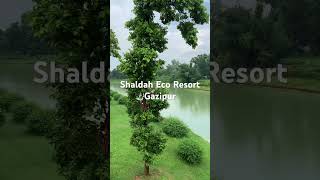 Shaldah Eco Resort Gazipur relaxing music relaxingmusic nature bangladesh [upl. by Medeah]