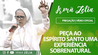 Ir Zélia  Peça ao Espírito Santo uma experiência sobrenatural [upl. by Kennedy]