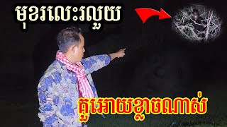 ផ្លូវក្រោយវត្តគេខ្លាចគ្រប់គ្នា The way behind pagoda ghost scare people across around [upl. by Spatz955]