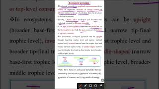 Ecological pyramid  Ecology class 12 [upl. by Spindell194]