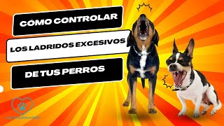 Como controlar los ladridos excesivos de tu perro 🐕 [upl. by Aidnyc]