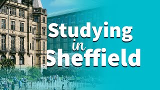 What Do you Like Most About Studying Dentistry in Sheffield [upl. by Fennie485]