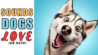 🤔Sounds That Make Your Dog Bark or Tilt Head  Dogs Barking Loud  Dog Sounds [upl. by Garret462]