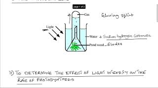 Investigating gas produced during photosynthesis [upl. by Adest]