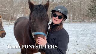 Team PONYSITTERS Only at JL Performance Horses [upl. by Angelia]