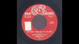 James Wilson  You Wont Know Why Til Im Gone  Rockabilly 45 [upl. by Ahsekat554]