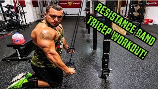 Intense 5 Minute Resistance Band Tricep Workout [upl. by Llertak]