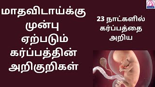 Early pregnancy symptoms before missed periods in Tamil  pregnancy symptoms in Tamil l MalligaTamil [upl. by Jochbed]