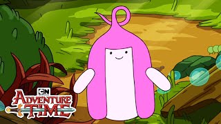 PBs Origin  Adventure Time  Cartoon Network [upl. by Reinar]