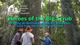 Heroes of the Big Scrub restoring rainforest in Australia [upl. by Engvall]