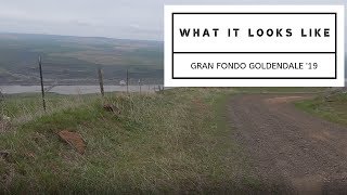 What it looks like Gran Fondo Goldendale 2019 [upl. by Aisatsanna812]