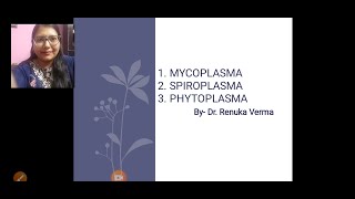 Mycoplasma Phytoplasma Spiroplasma मायकोप्लाज्मा फायटोप्लाज्मा तथा स्पाइरोप्लाज्मा [upl. by Sadler]