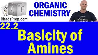 222 Basicity of Amines  Organic Chemistry [upl. by Draude549]